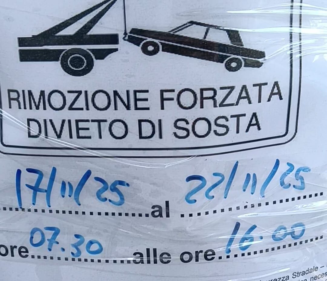 Potatura degli alberi in via John Fitzgerald Kennedy: cura del verde dalle 07:30 alle 16:00 nei giorni dal 17 al 22 novembre 2025