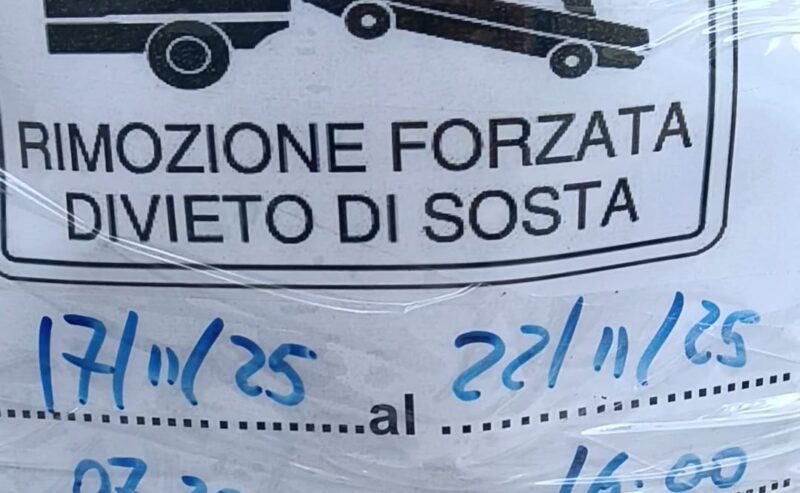 Potatura degli alberi in via John Fitzgerald Kennedy: cura del verde dalle 07:30 alle 16:00 nei giorni dal 17 al 22 novembre 2025
