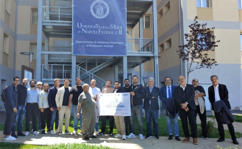 “MollusCA Blu”, alla Federico II i risultati del progetto per la tutela del cannolicchio e della biodiversità marina