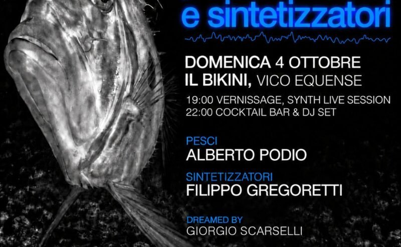 PESCI E SINTETIZZATORI PER IL BIKINI